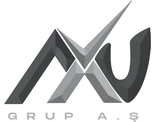Axu Grup